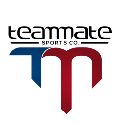 logo Teammate