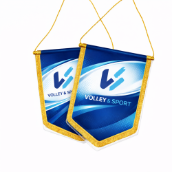 foto GAGLIARDETTO PENTAGONALE