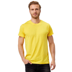 foto BS T SHIRT EVOLUTION COLORATA